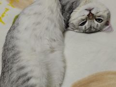 -联合动物医院(光谷诊疗中心)