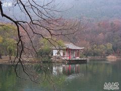 -紫霞湖公园
