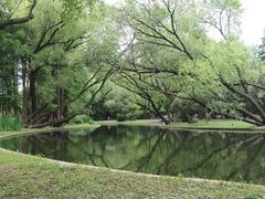 -上海共青森林公园