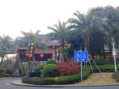 -美的鹭湖森林度假区