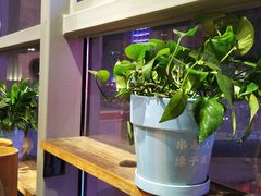 -袁记串串香(梁家巷店)