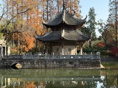 -习家池