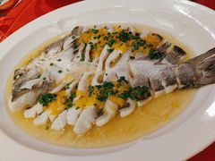 -燕郊烧鸽子(酷车小镇店)