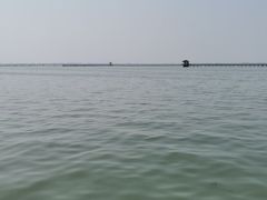 -龙虾风暴(松江店)