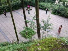 -翠屏公园