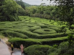 -大屏嶂森林公园
