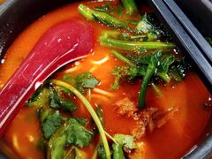 香草番茄汤.猪软骨面-和府捞面(东直门银座店)