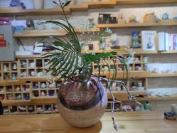 -今日陶艺(富力广场店)
