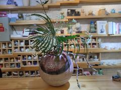 -今日陶艺(富力广场店)