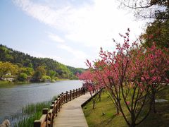 -常德桃花源景区