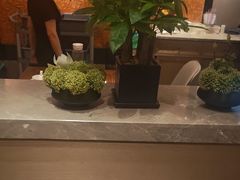 -鸽味轩·粤菜小馆(高楼门总店)