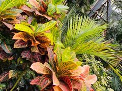 -华南国家植物园-售票处