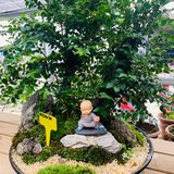 娇艳欲滴の夏日鲜花打卡地🌹