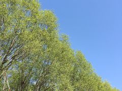 -青州市云门山风景区