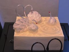 -BLACKSWAN黑天鹅(环球店)