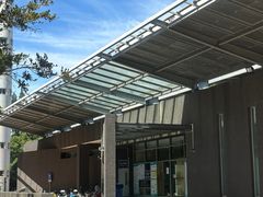 -同济大学四平路校区游泳馆