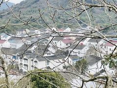 -香雪海