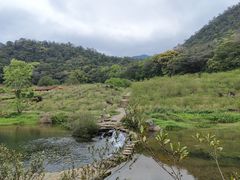 -广州市石门国家森林公园