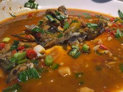 -千岛湖小鱼儿·淳安匠心农家菜