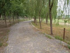 -西青郊野公园