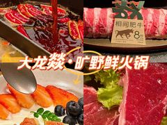 -大龙燚·旷野鲜火锅(广州首店)