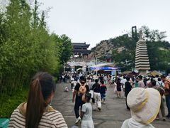 -西霞口神雕山野生动物世界