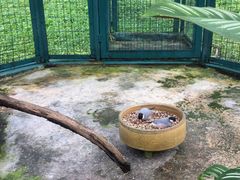 -吉隆坡雀鸟公园