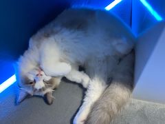 -零纪元VR体验馆·桌游(黄浦店)