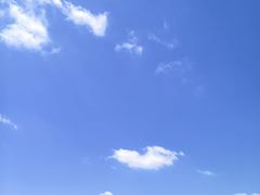 -南大港湿地风景区