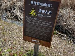 -宁波杭州湾国家湿地公园