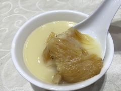 -凤城礼记鱼翅海鲜酒家(新马路总店)