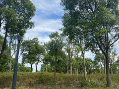 -春花秋色城市公园