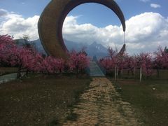 -丽江植物园