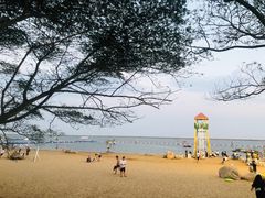 -碧海金沙