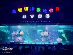 -泉城欧乐堡海洋极地世界