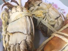 阳澄湖大闸蟹-黄记大闸蟹专卖店·活蟹·醉蟹