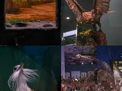 -国家自然博物馆