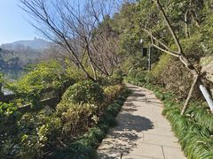 -杭州半山国家森林公园