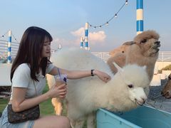 -Blue Concept Cafe&Farm·關於藍