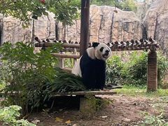 -东莞香市动物园