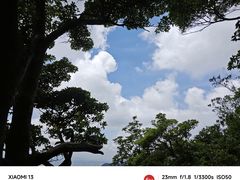 -银瓶山森林公园(谢岗镇)