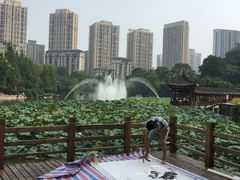 -龙头寺公园