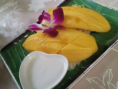 -Jungle Kitchen