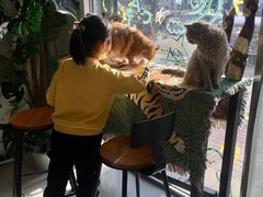 -平行世界·猫咖(首经贸店)