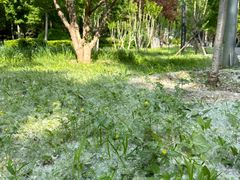 -东升八家郊野公园