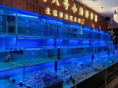 -海岛八号龙虾烧烤田鸡(蓝天路总店)