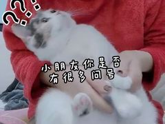 -明日世界密室轰趴·剧本桌游·箭馆团建(国贸店)