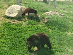 -西安秦岭野生动物园