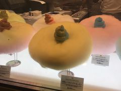 -台场海滨公园船码头