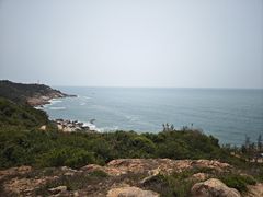 -广东惠东海龟国家级自然保护区